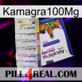 Kamagra100Mg 11